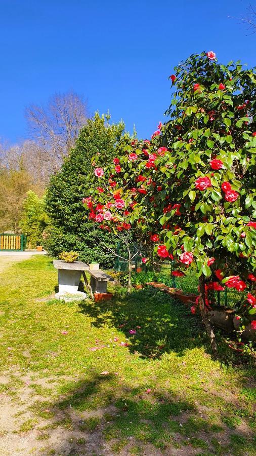 Il Casolare Del Medio Olona Bed & Breakfast Fagnano Olona Exterior foto