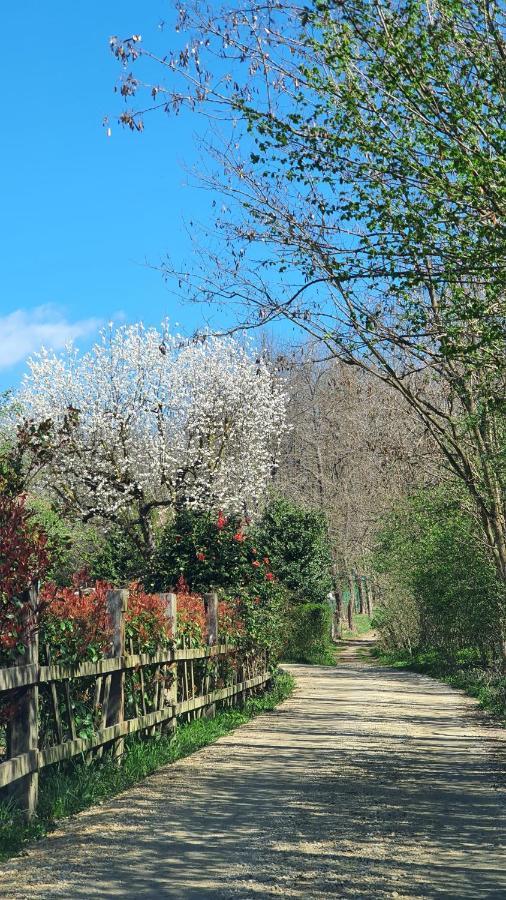 Il Casolare Del Medio Olona Bed & Breakfast Fagnano Olona Exterior foto